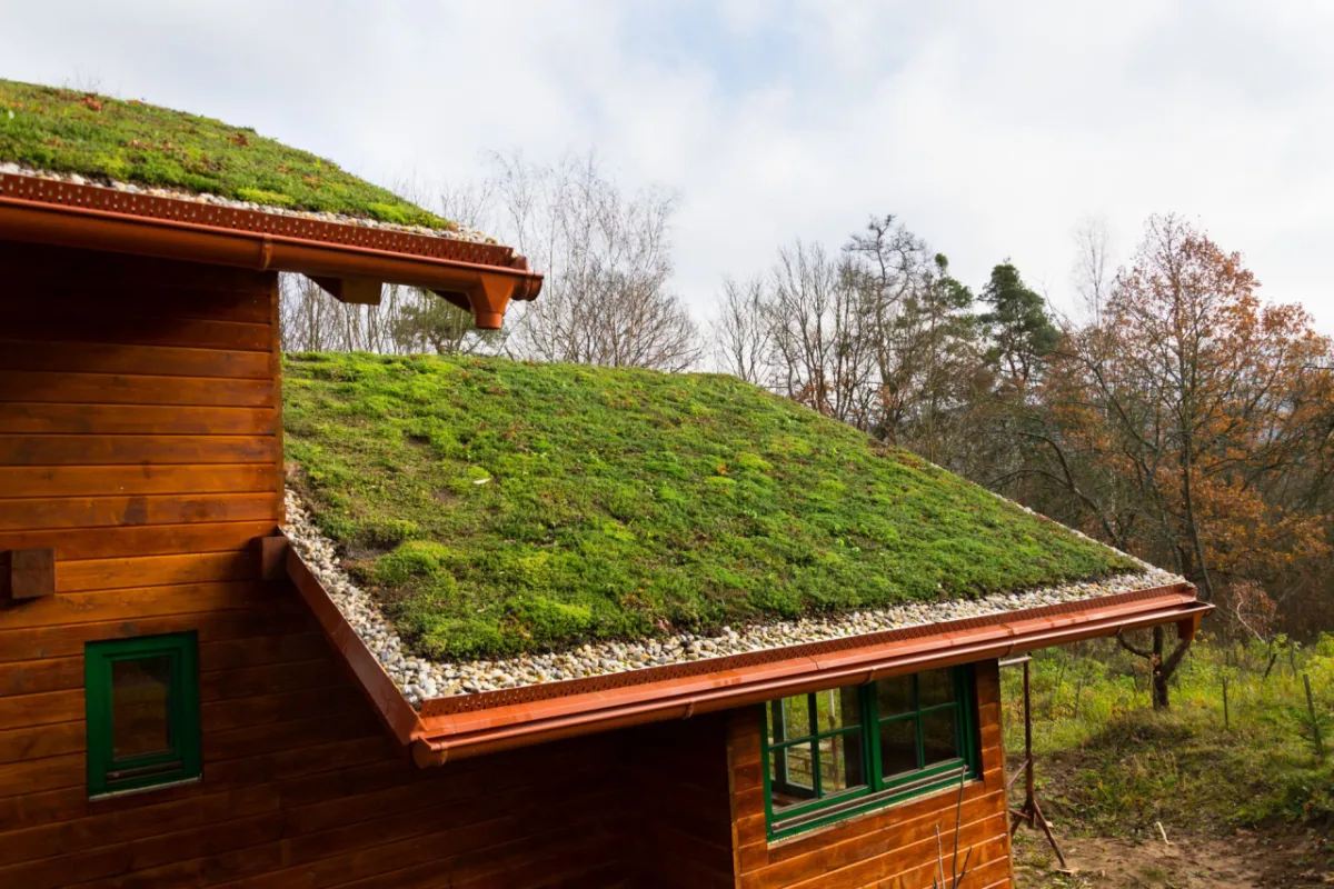 Telhados verdes otimizam a climatização natural da casa, diminuindo a necessidade de climatizadores. Foto: Bigstock