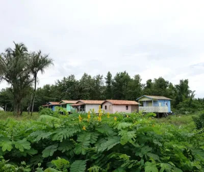 Designer que revelou hábitos e moradias dos ribeirinhos da Amazônia cria luminária de cristais de quartzo
