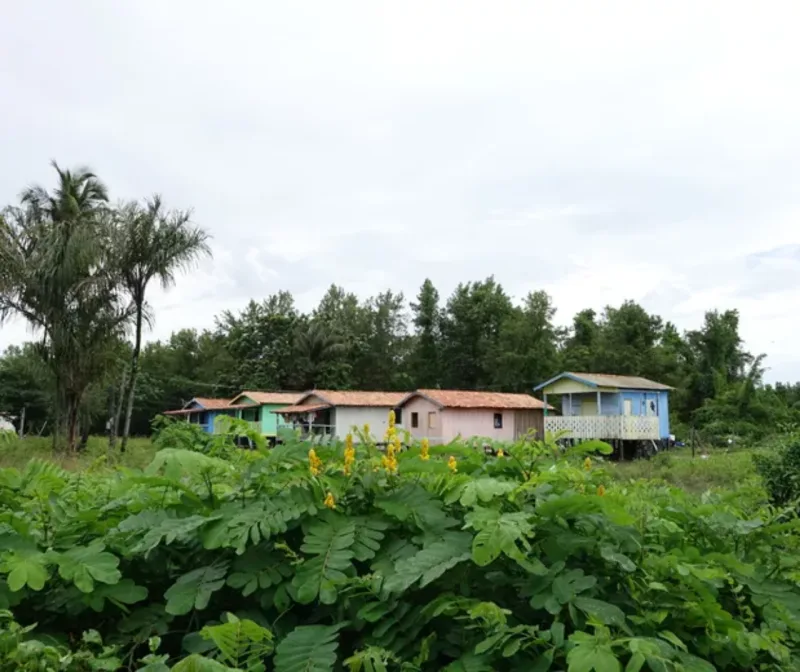 Designer que revelou hábitos e moradias dos ribeirinhos da Amazônia cria luminária de cristais de quartzo