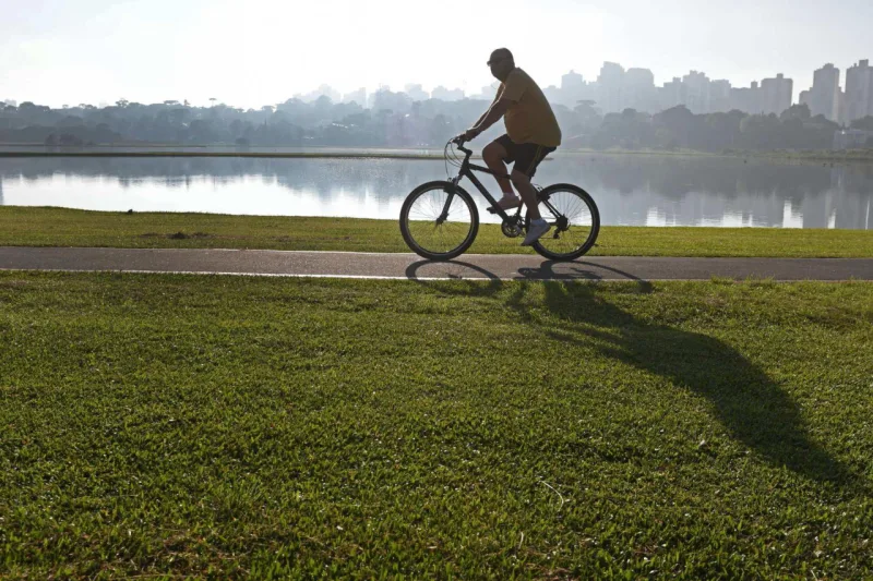 Curitiba, pelas lentes de Zuleika de Souza