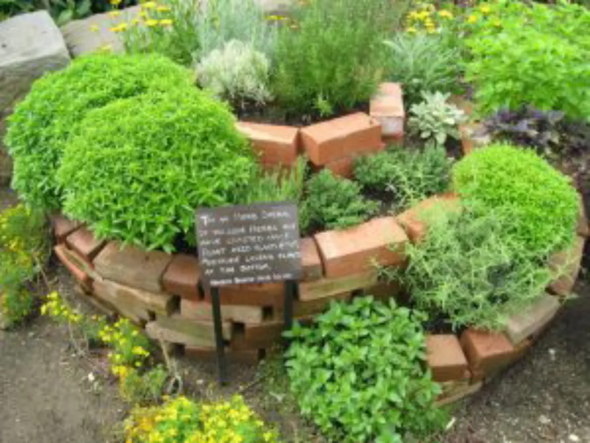 A espiral de ervas utiliza os preceitos da permacultura para aproveitar melhor a energia da natureza para produzir vegetais em pequenos espaços. Foto: Reprodução/Pinterest