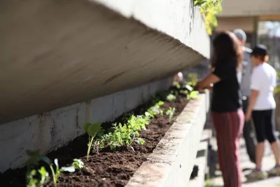 Mercês tem “escadaria comestível”: conheça o novo projeto de horta urbana