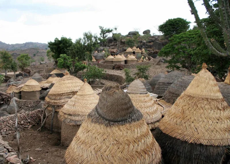 Foto: Dipo Alafiatayo