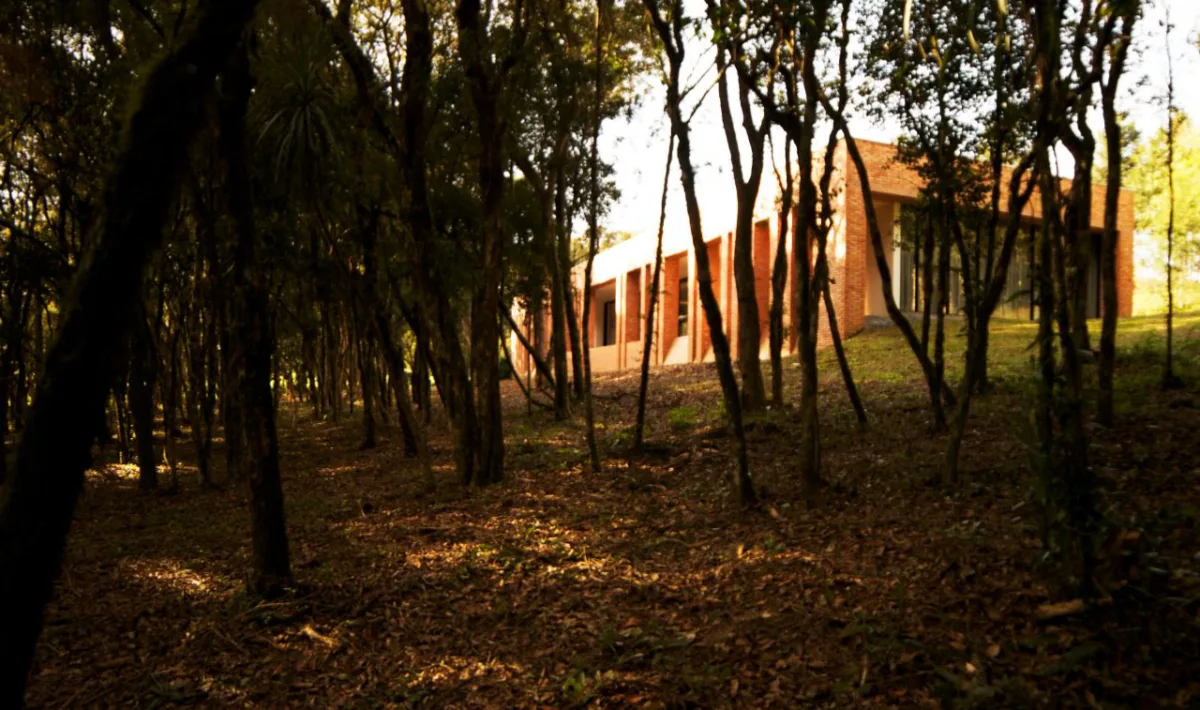 A construção retangular em tijolos aparentes parece compor a paisagem do bosque que a circunda. Foto: Divulgação