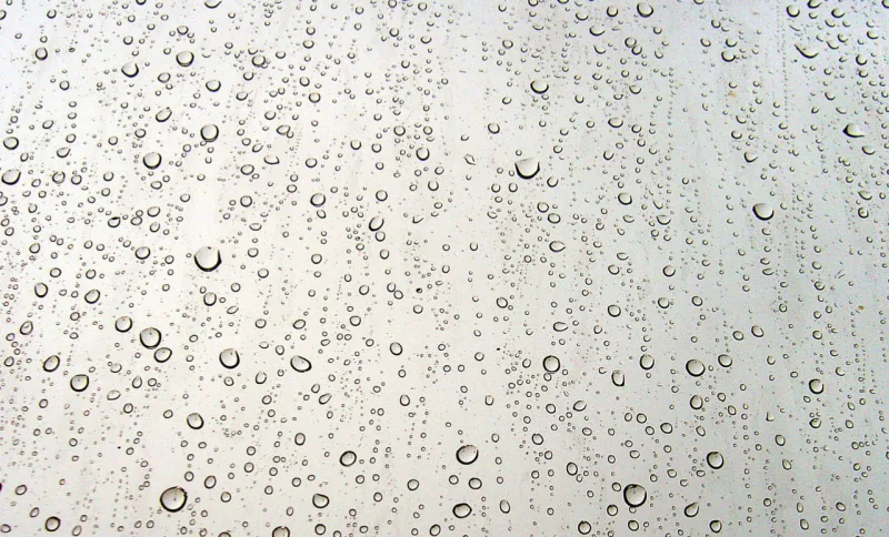 Foto: Pixabay/Reprodução
