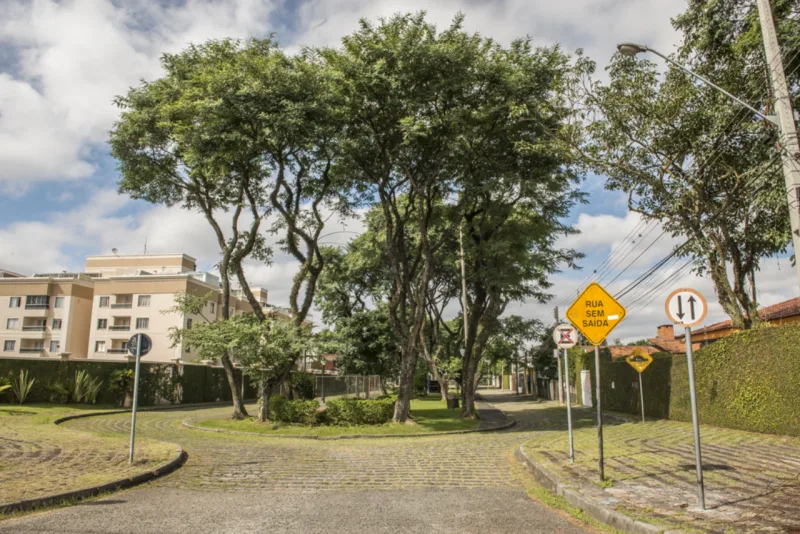 (Foto: Letícia Akemi / Gazeta do Povo)