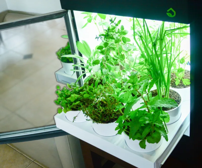 Eletrodoméstico permite cultivo de horta dentro de casa