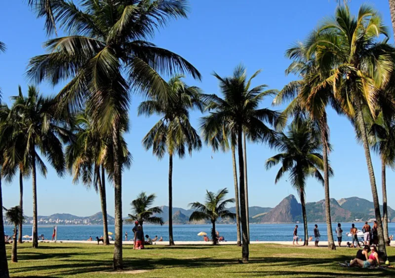 Foto: Claudio Machado/Parque do Flamengo/Reprodução
