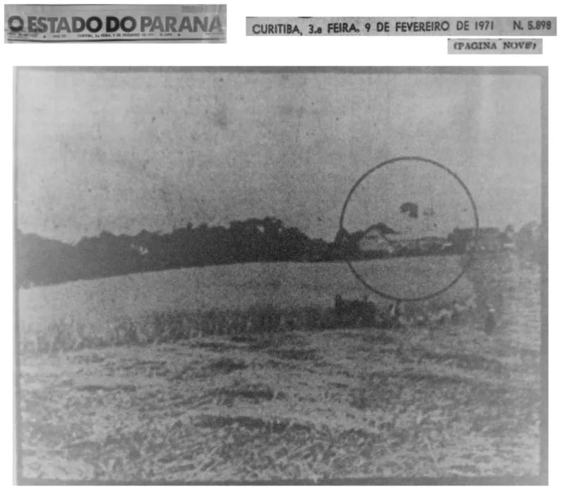 Foto: Secretaria Municipal do Meio Ambiente/Arquivo