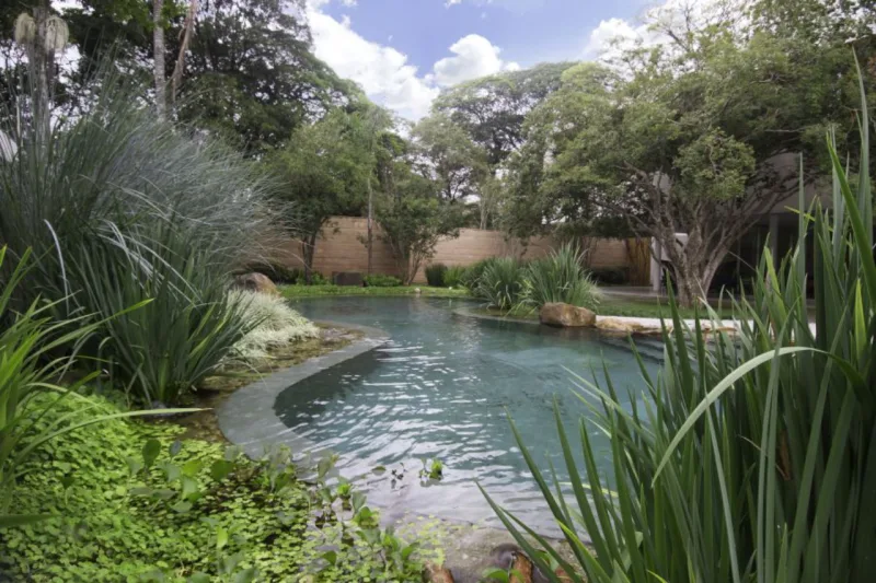 Forma orgânica da piscina chama atenção no paisagismo tropical elaborado por Renata Tilli para casa de Márcio Kogan.
