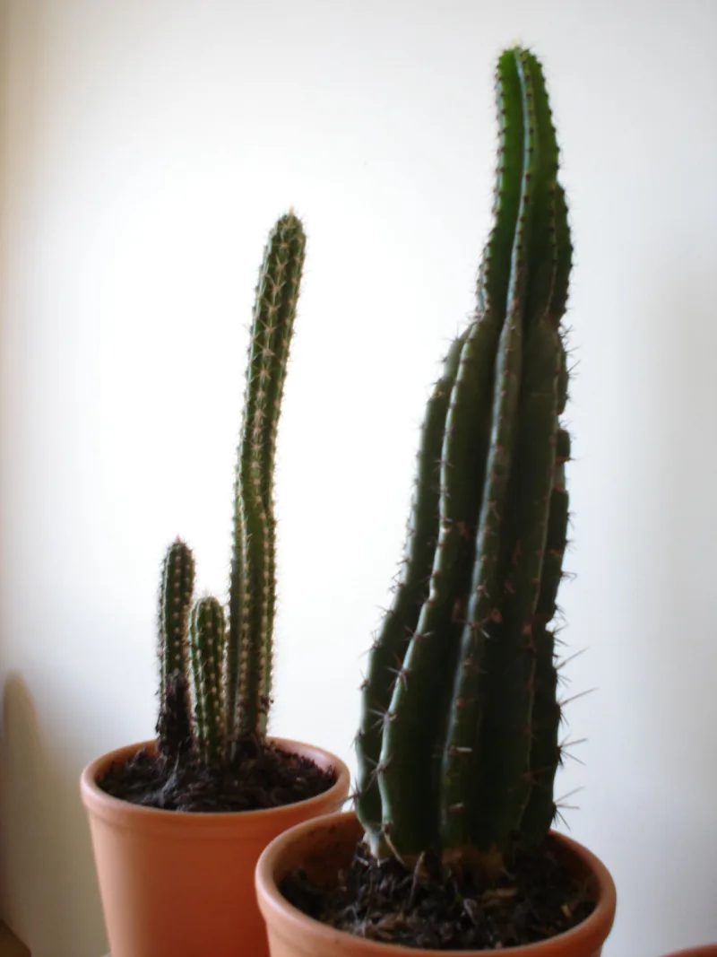 Foto: Freeimages.