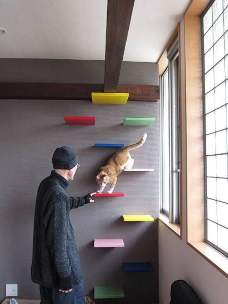 Foto: Pinterest/Reprodução