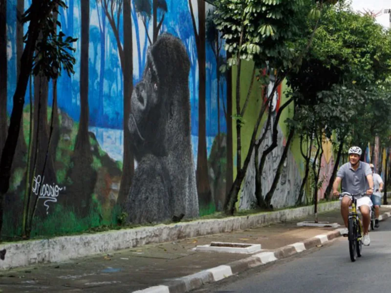 Foto: Heloisa Ballarini/Divulgação Prefeitura de SP