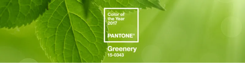 Greenery, a cor de 2017.