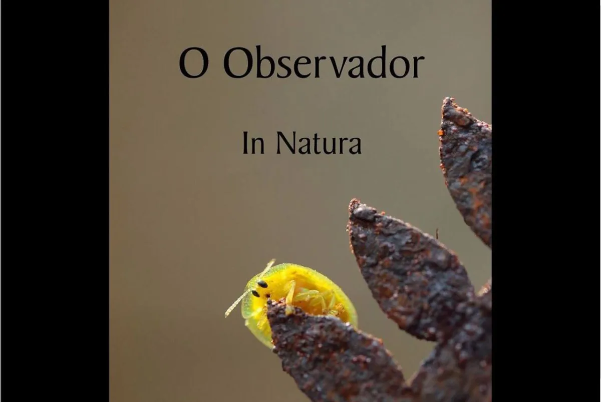Livro será lançado na loja do MON na próxima quinta-feira (01). A foto que ilustra a capa é de Rubens Nemitz Jr. 