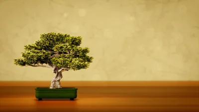 Bonsai: saiba como cuidar e introduzir essa técnica milenar na decoração