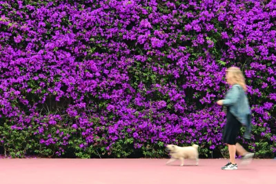 O espetáculo da natureza na primavera