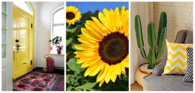 A cor é o destaque na decoração desta primavera. Fotos: Reprodução/Pinterest (esq. e dir.) e Pixabay (centro)