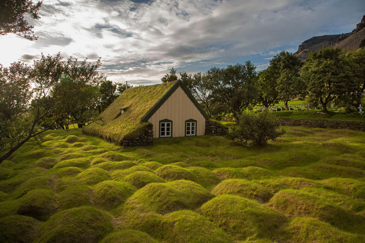 Foto: Menno Schaefer/Reprodução