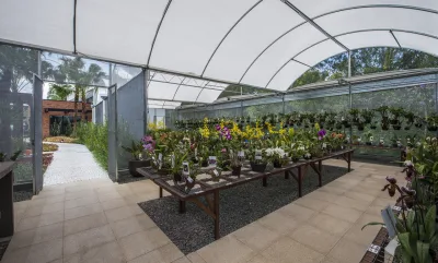 Orquidaria Rosita reúne mais de 7 mil orquídeas e foi inaugurada em 2020.