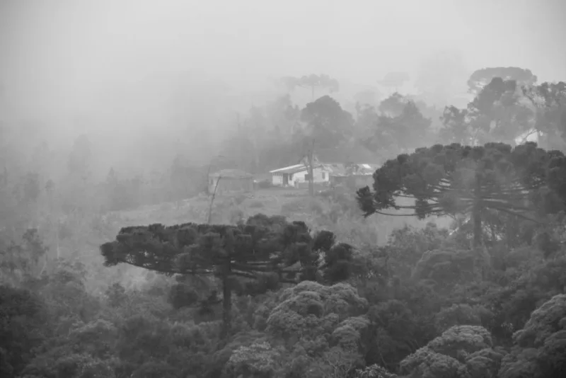 Foto: Daniel Castellano/Gazeta do Povo