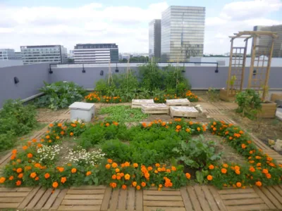 O programa "Du vert prês de chez moi" (Verde perto de mim) quer mudar o paisagismo de Paris. Fotos: Prefeitura de Paris/ reprodução