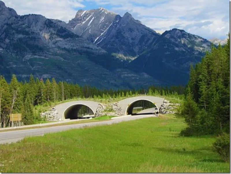 Também no Banff National Park, no Canadá. Foto: Jim Good