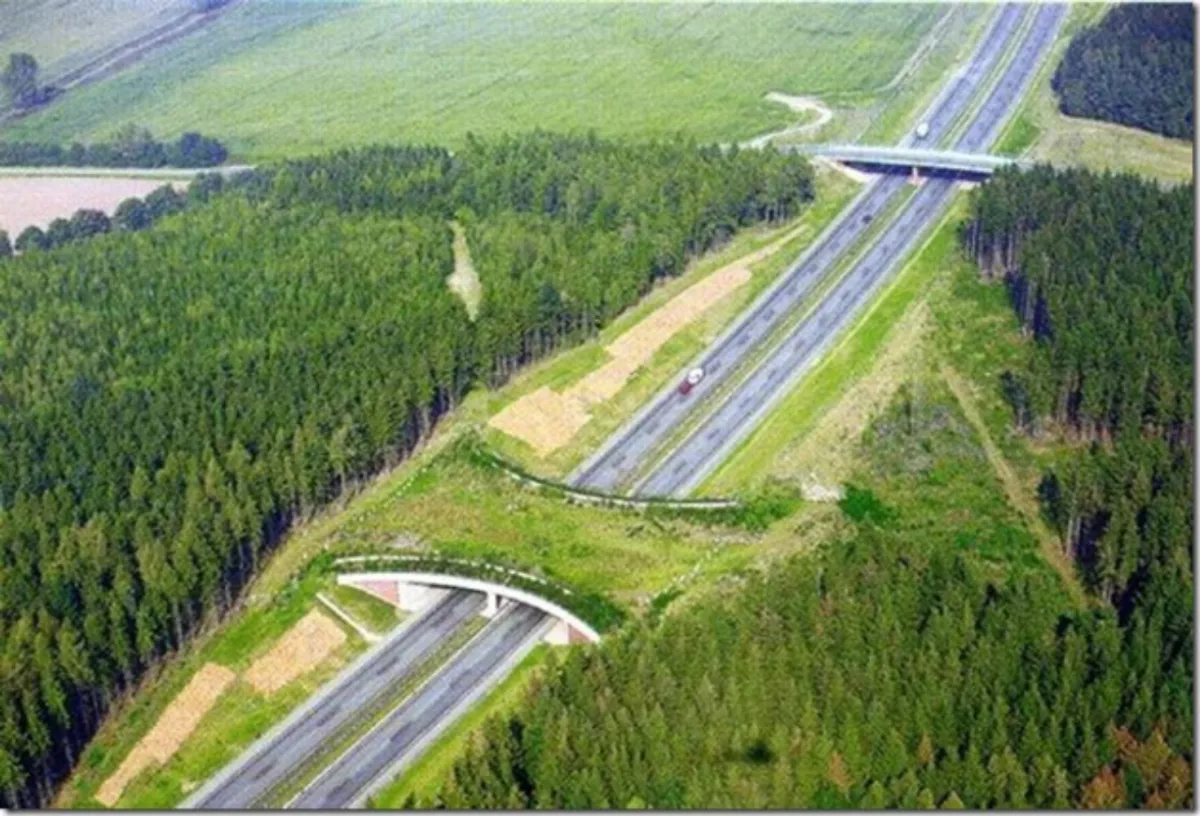 Ponte verde na Highway A20, na Alemanha, auxilia a travessia segura de animais silvestres. Foto: © Autobahn Online