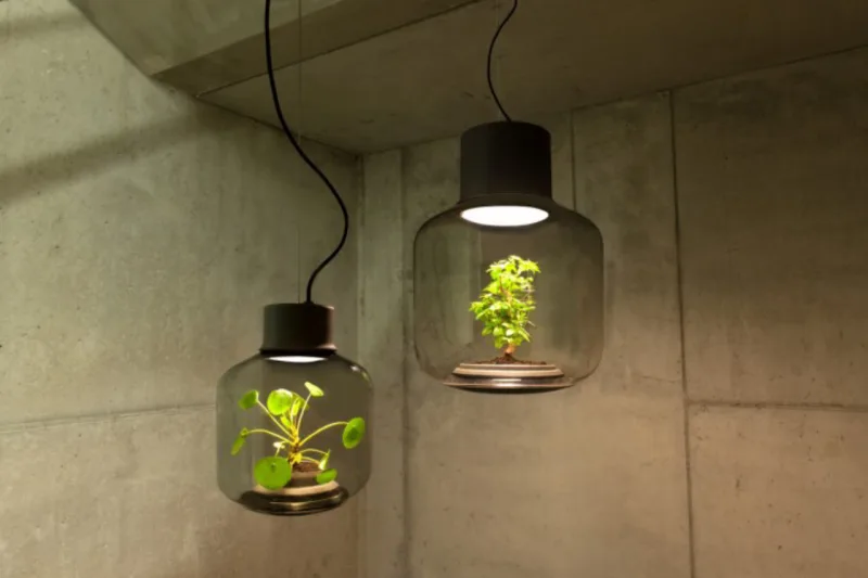 Luminária inteligente permite cultivar plantas sem água e luz solar