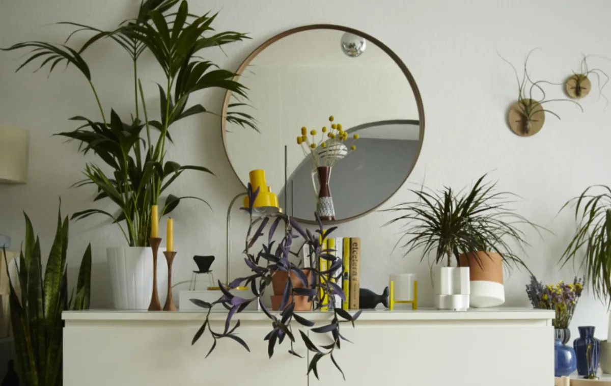 Sugestões de fácil execução podem trazer o verde para casa, transformando o espaço em uma área mais calma. Fotos: Gazeta do Povo e Daniel Farmer/Ikea/Divulgação