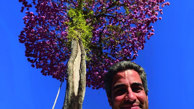 “Não existe planta feia”: para botânico, o paisagismo deve ir muito além da beleza e valorizar também o meio ambiente.