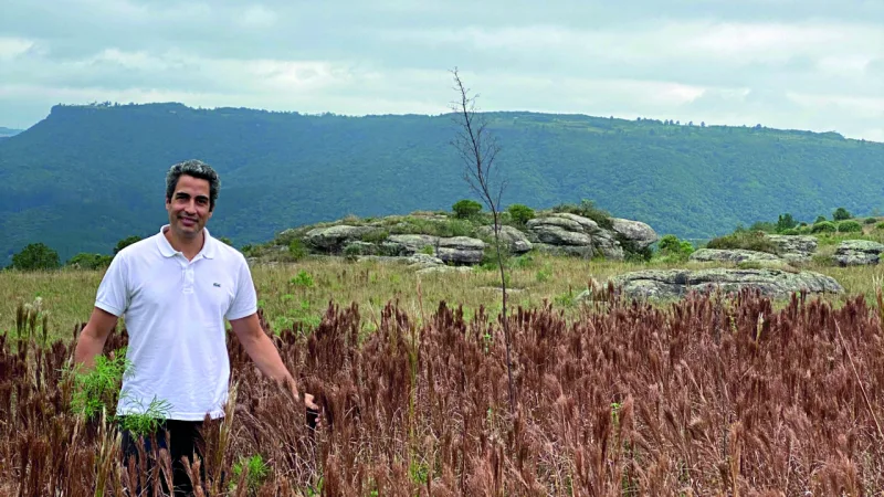 Paisagismo com consciência ambiental: não é porque é verde, que é sustentável.