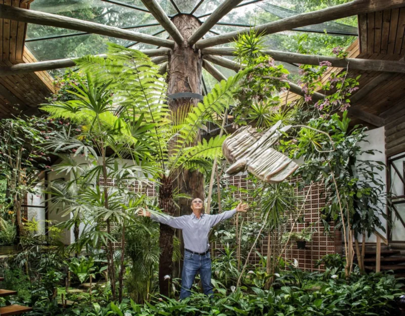 A ideia da casa foi do próprio Osvaldo. Depois de uma visita do paisagista Burle Marx, que esteve no local para sugerir o que fazer com o jardim da propriedade, o arquiteto não tirou da cabeça a dica: “Faça uma casa que combine com o bosque”. Nada melhor que uma “casa-árvore”
