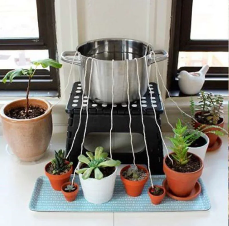 Sistema de rega por capilaridade é uma boa alternativa para vasos pequenos.
Foto: Cura pela Natureza.