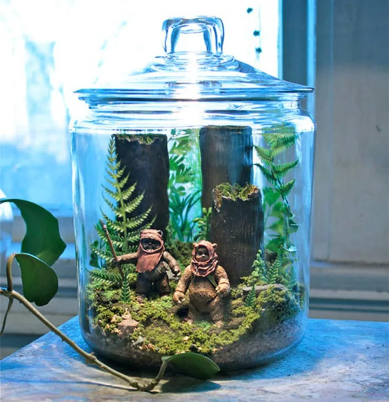 Ewoks.