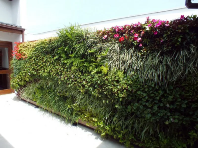 Projeto de muro verde da Urbanatura