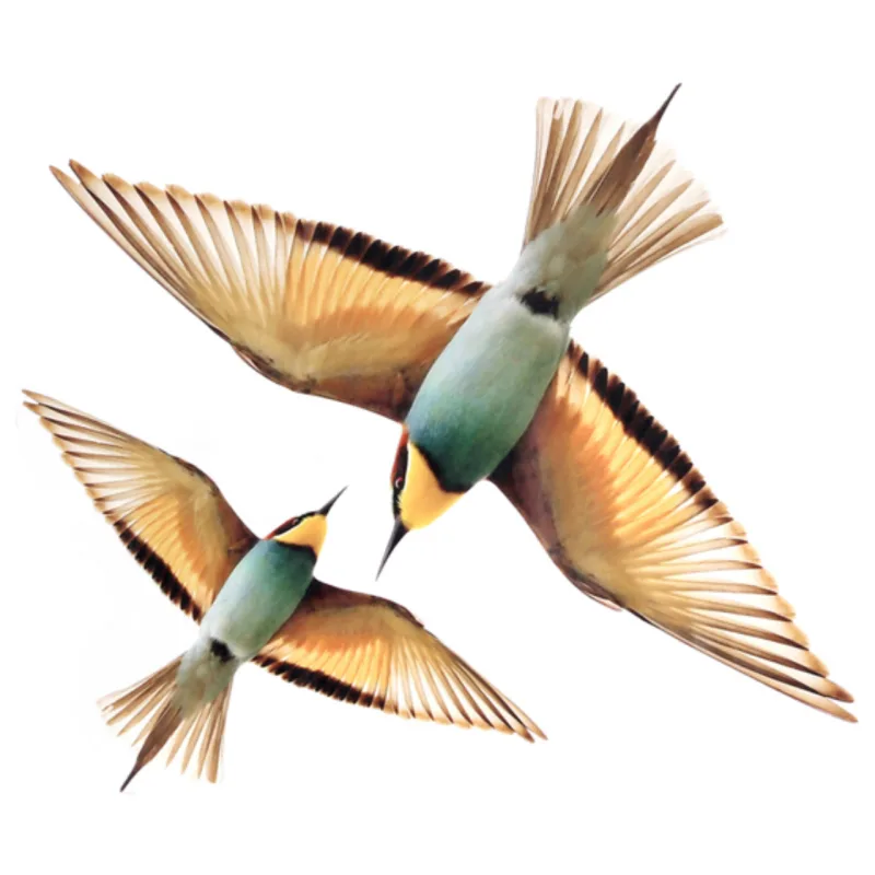 Adesivos Flying Birds, em vinil. Na Tok & Stok, R$ 28,90.