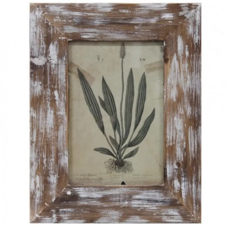 Quadro folhagem com moldura em madeira. Na Trapemix, R$ 130.