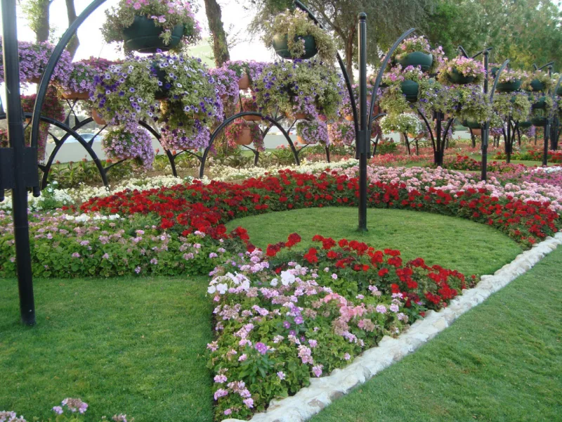 Foto: Al Ain Paradise / Divulgação.