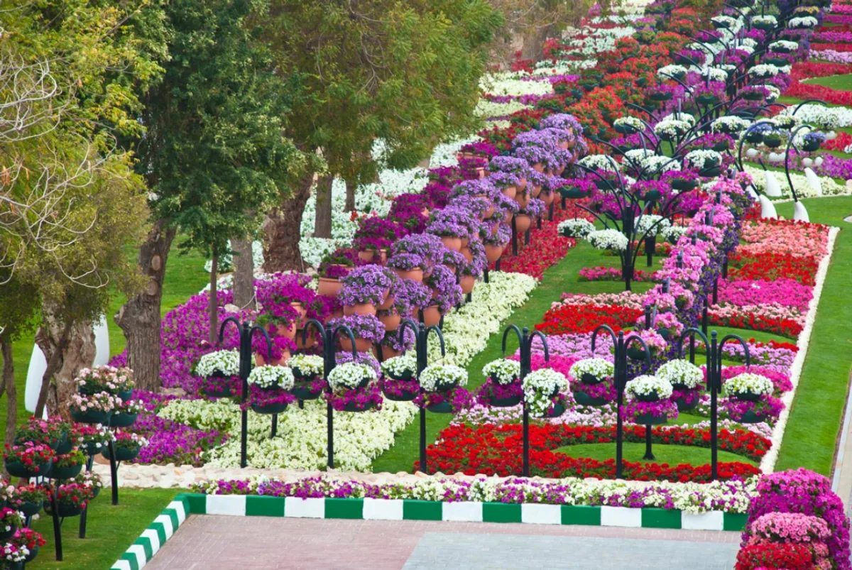 Jardim mais florido do mundo, reúne centenas de espécies em Dubai. 
Foto: Al Ain Paradise / Divulgação. 