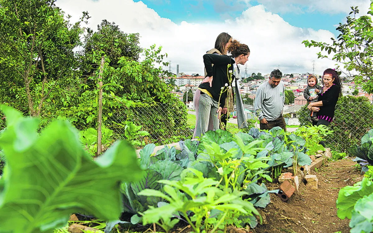 Horta comunitária no Tatuquara envolve moradores e grupo de voluntários. Fotos: Fred Kendi / Gazeta do Povo