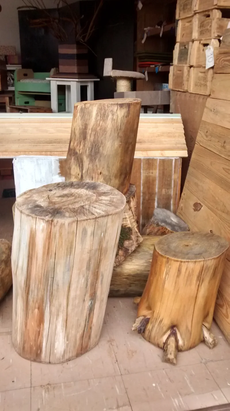 Troncos tratados em diversos tamanhos e formatos, que podem virar banquinhos e outros objetos de decoração. Custam entre R$ 30 e R$ 50.