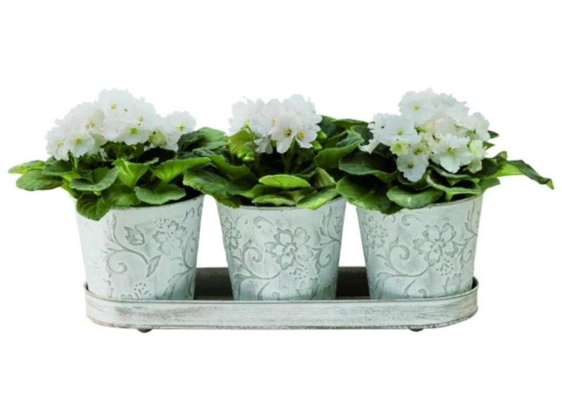 Conjunto com três floreiras e bandeja. Na Tok & Stok. R$ 64,90. Foto: Divulgação