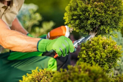 Jardins sem manutenção?