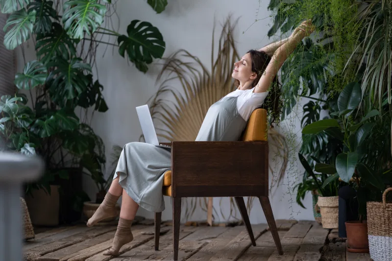 plantas em casa: mitos e verdade
