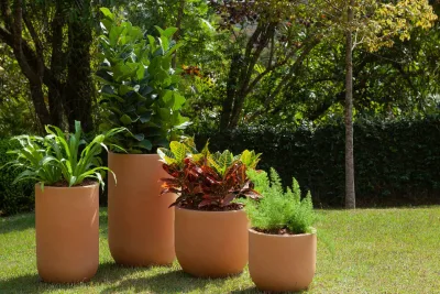 Como escolher cachepôs e vasos para suas plantas