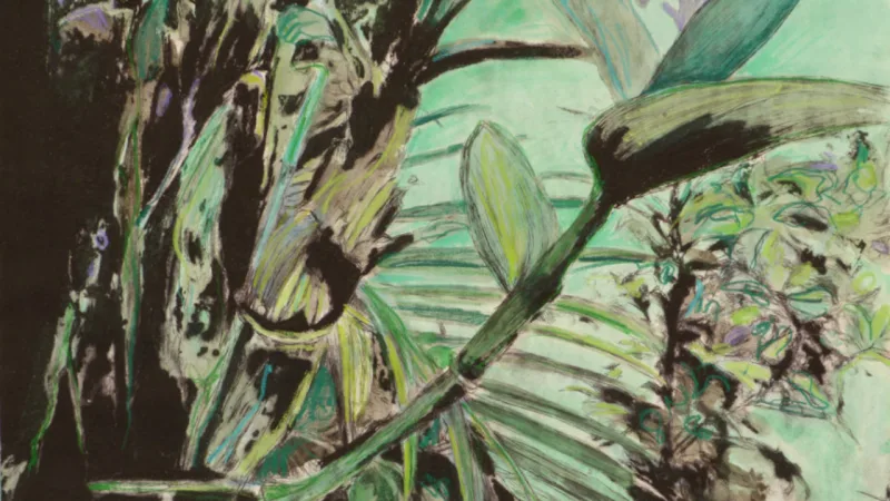 Jardim de Sombras III, de Dulce Osinski, em gravura