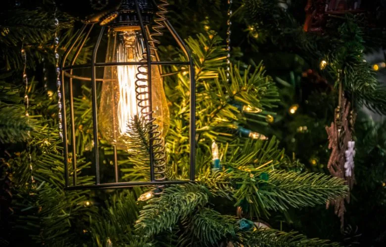 Iluminação em gaiolas de arame transformam o jardim