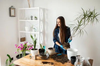 4 problemas comuns nas plantas e como resolvê-los