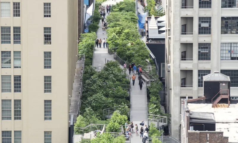 O High Line, em Nova York, é um dos grandes projetos do estúdio. Ele é assinado por James Corner Field Operations (Project Lead), Diller Scofidio + Renfro, and Piet Oudolf.